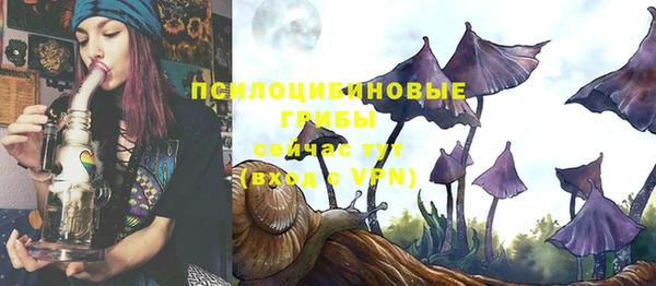 экстази Алексин